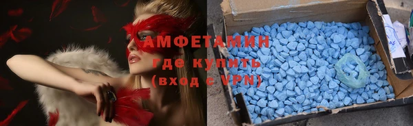 прущие грибы Наволоки