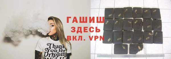 гидра Надым