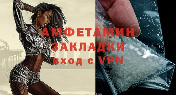 гидра Надым
