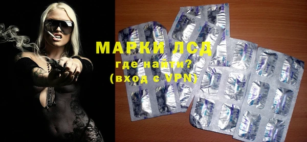 прущие грибы Наволоки