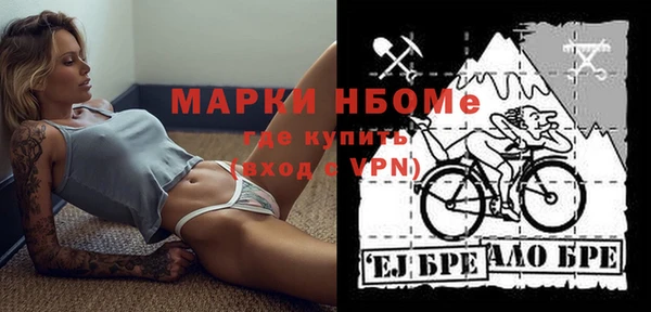 гидра Надым