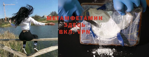 гидра Надым