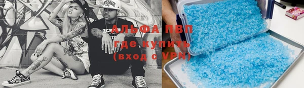 гидра Надым