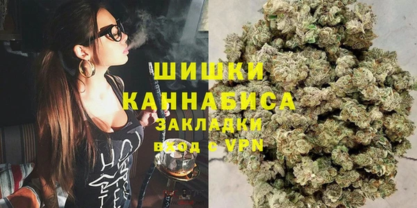 гидра Надым
