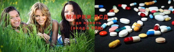 прущие грибы Наволоки