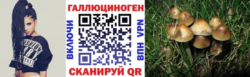 blacksprut зеркало  Острогожск  Псилоцибиновые грибы ЛСД 