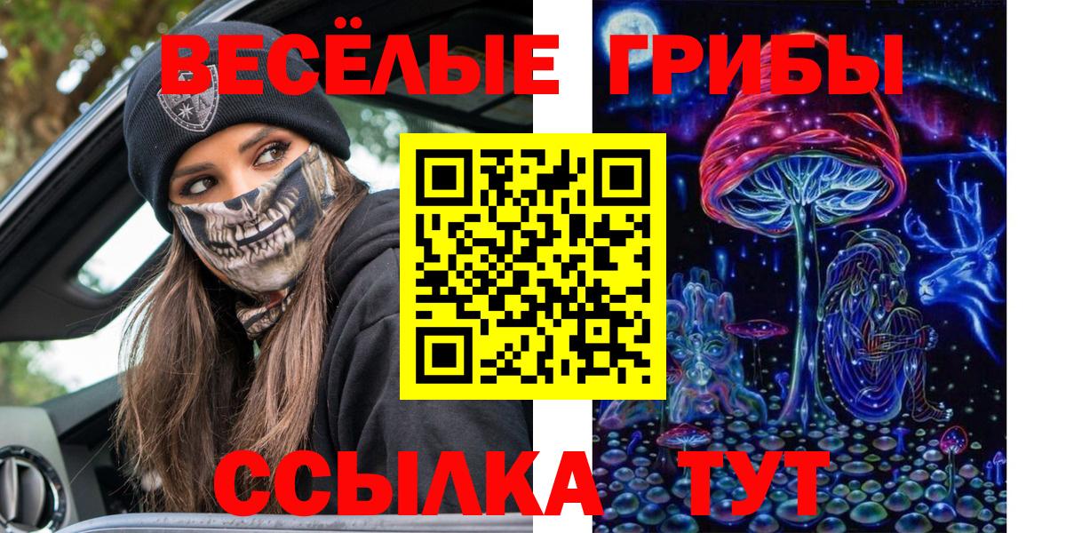 Галлюциногенные грибы Psilocybe  Галлюциногенные грибы GOLDEN TEACHER  Острогожск  Вход с VPN 