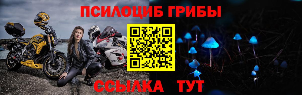 Псилоцибиновые грибы мухоморы Острогожск