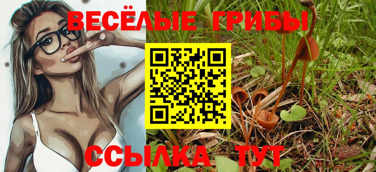 Псилоцибиновые грибы Magic Shrooms  Вход с VPN  Острогожск  Галлюциногенные грибы мицелий 